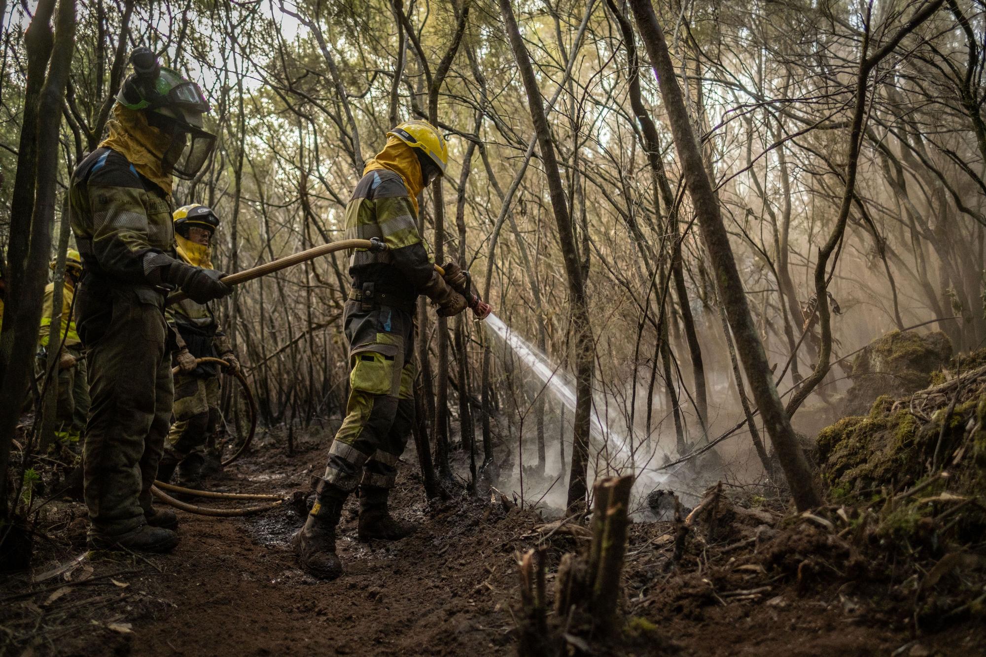 Labores de enfriamiento en Ravelo del incendio de Tenerife