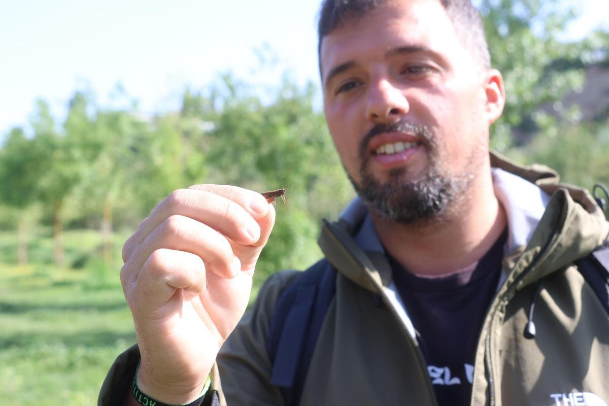 Unes 85 perosnes aficionades a la natura han participat al Bioblitz