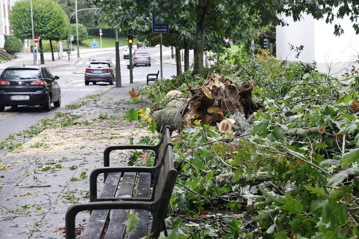 La intensa borrasca Kirk deja decenas de incidencias a su paso por Santiago