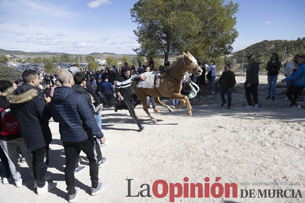 Los Caballos del Vino de Caravaca calientan motores