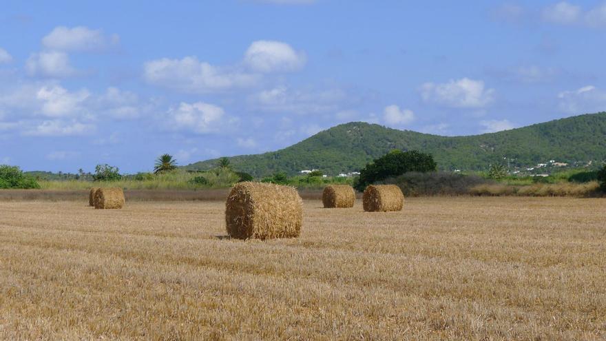 Fardos de paja en Eivissa.