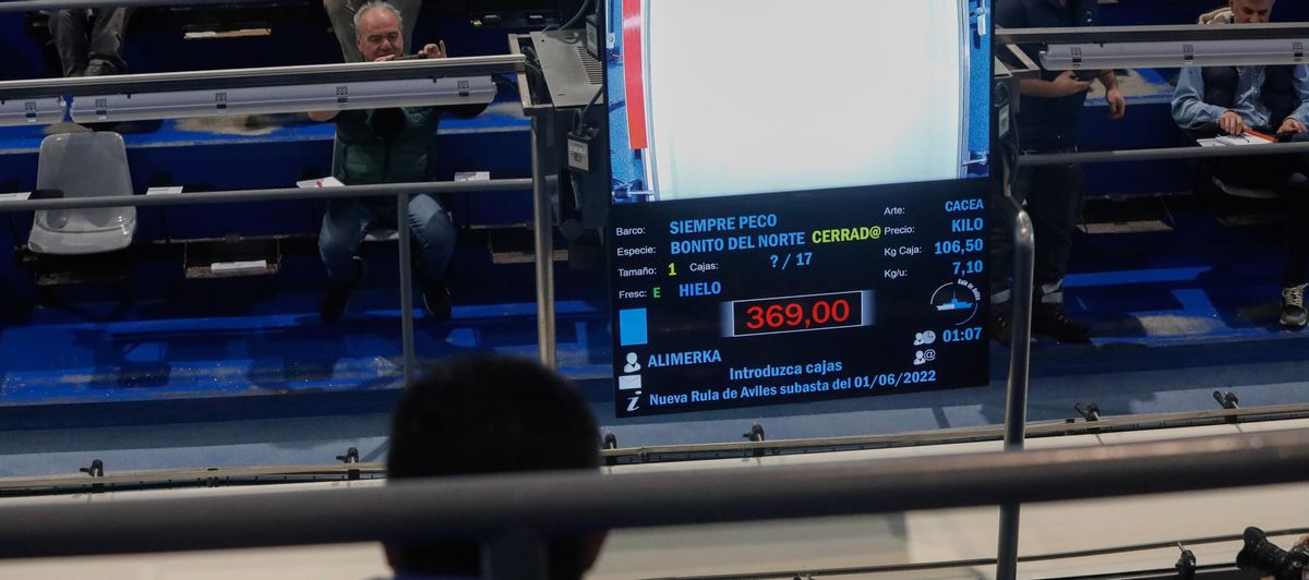 El preció récord de 369 euros el kilo, reflejado en la pantalla de la cancha de subastas de la rula de Avilés.