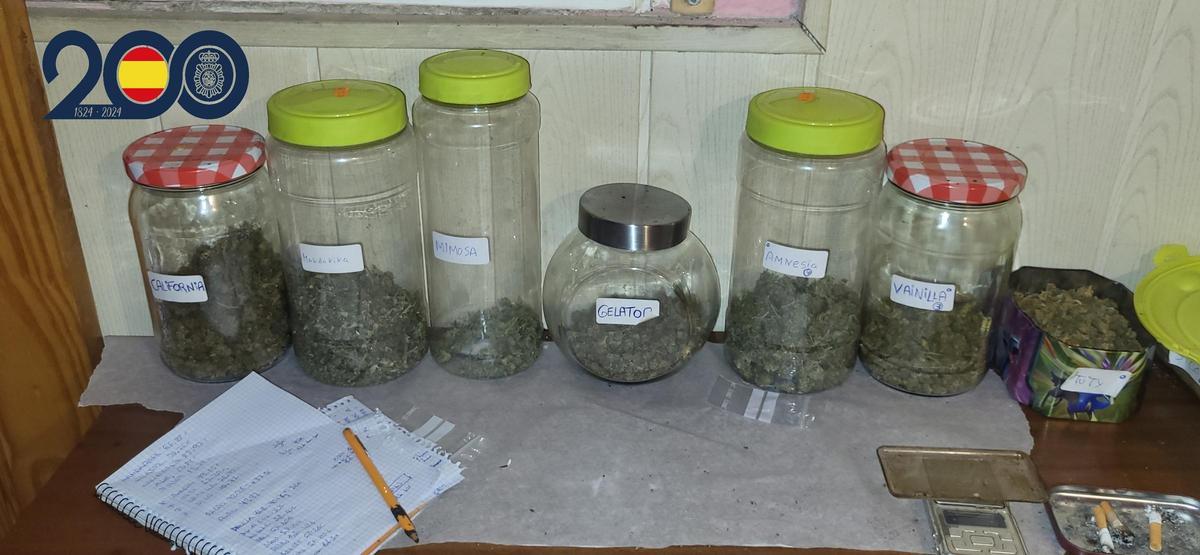 Marihuana clasificada en Cartagena dependiendo de la variedad.