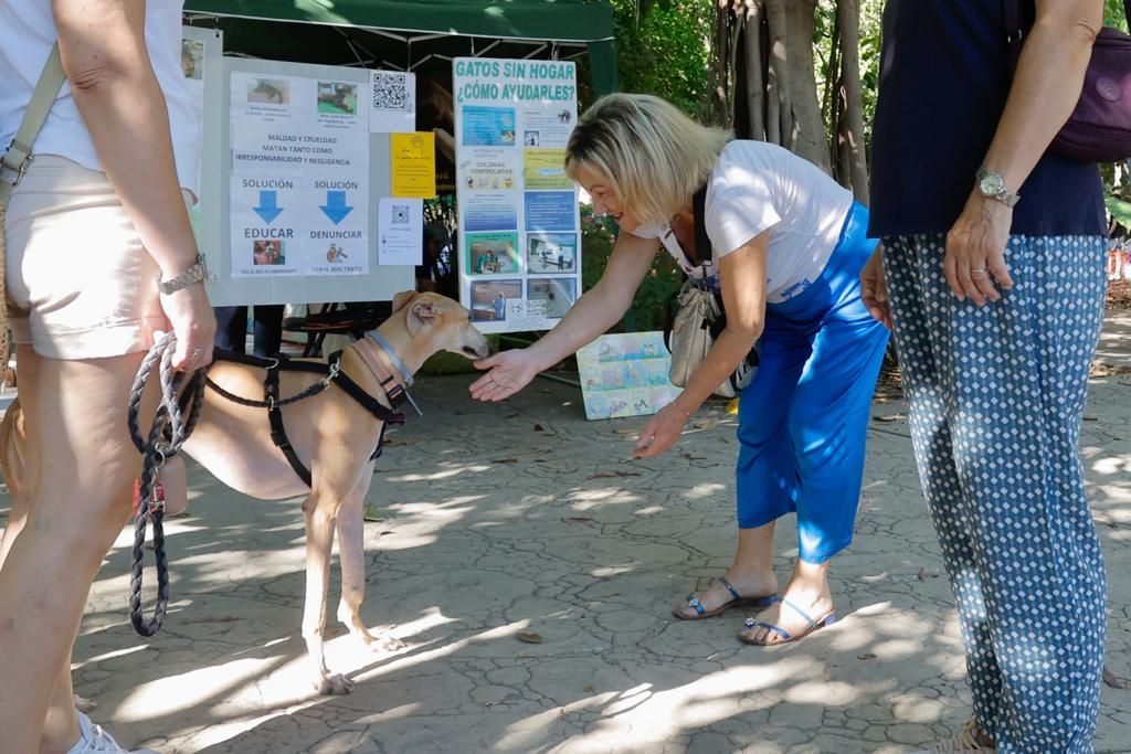 Así ha sido la Feria de los Animales en València