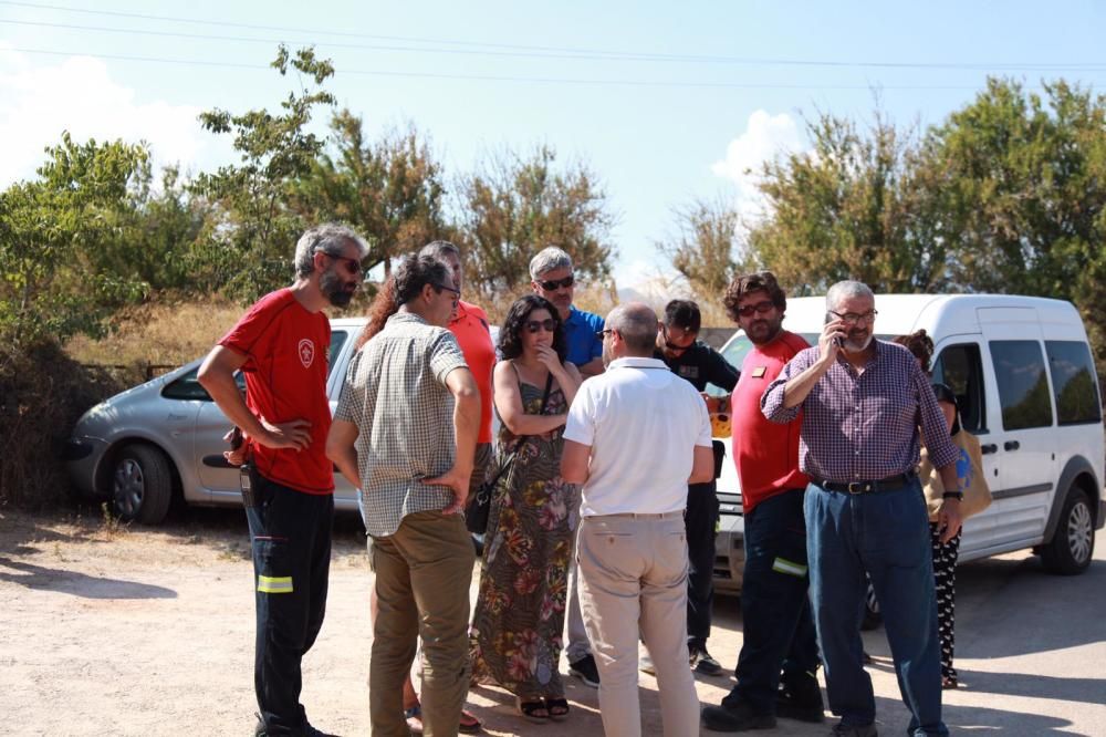 Representantes políticos de Baleares, consternados por el accidente aéreo en Mallorca