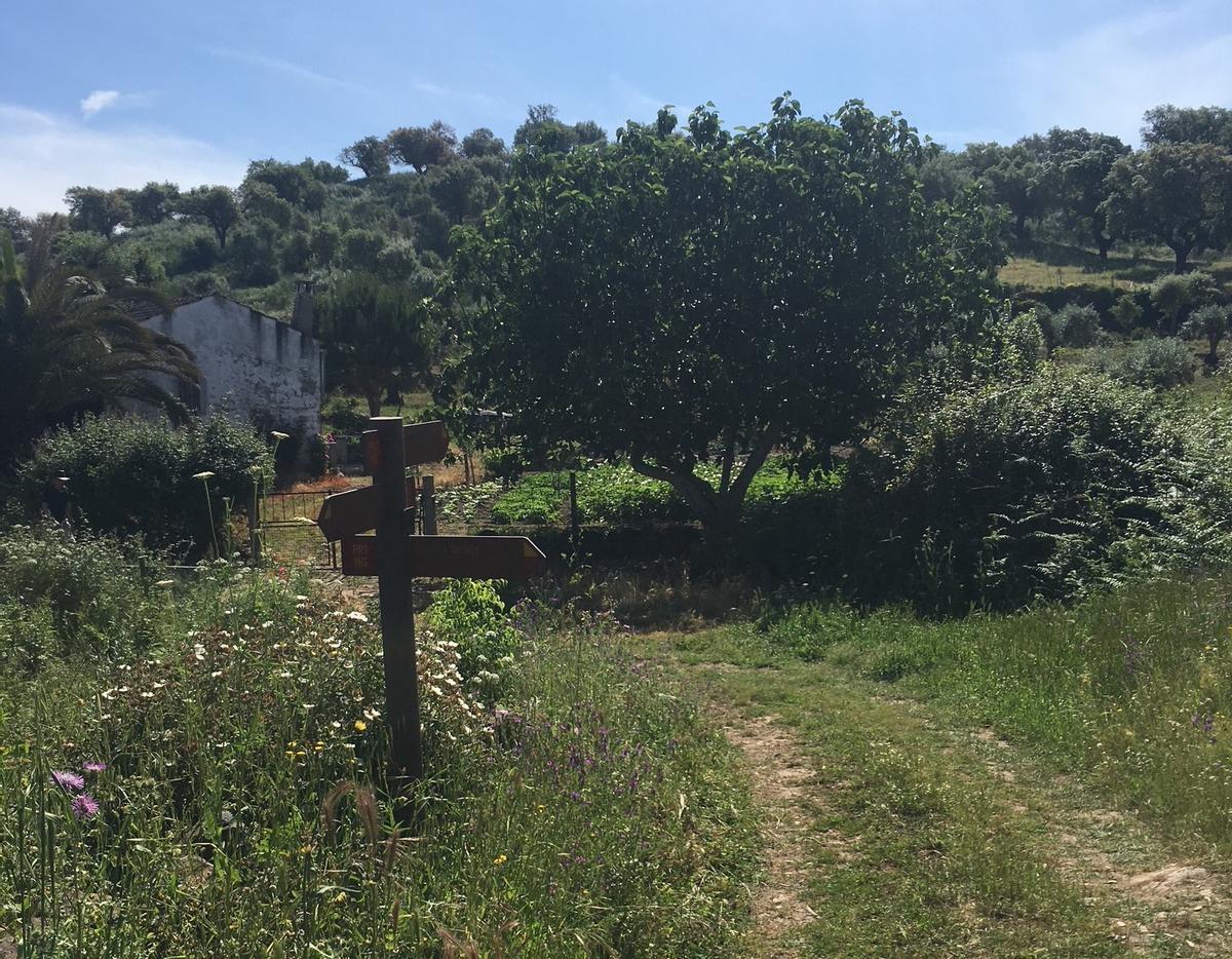 Así es la ruta Trilho da Barca D'Amieira, en la región del Alentejo