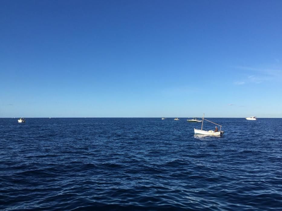 La fiebre por el 'raor' se desata en Mallorca