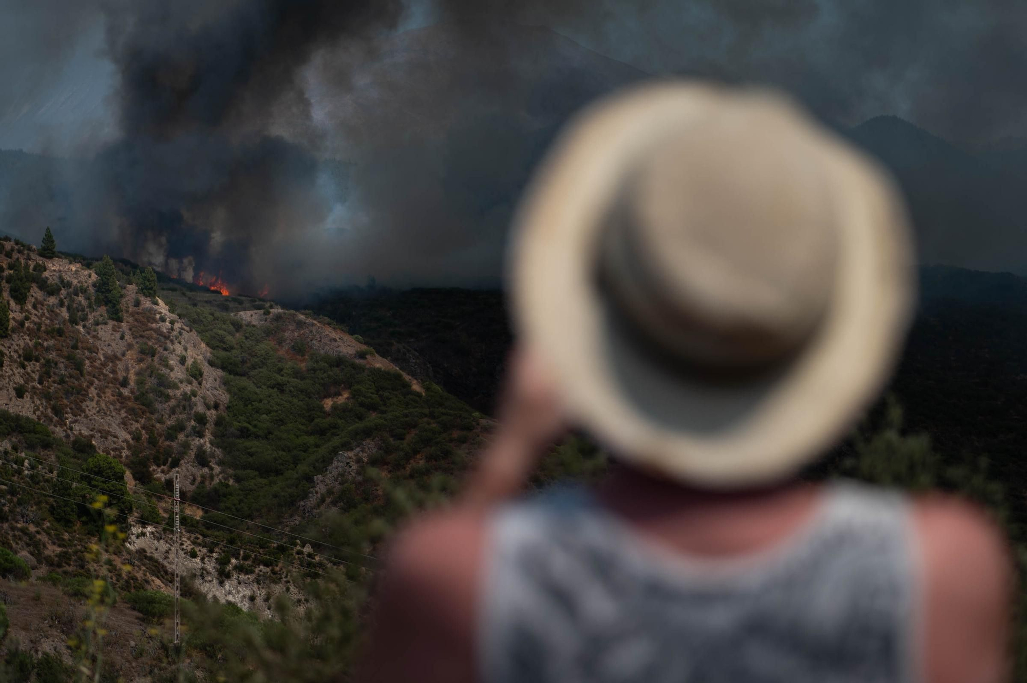 Imágenes del incendio declarado en El Tanque