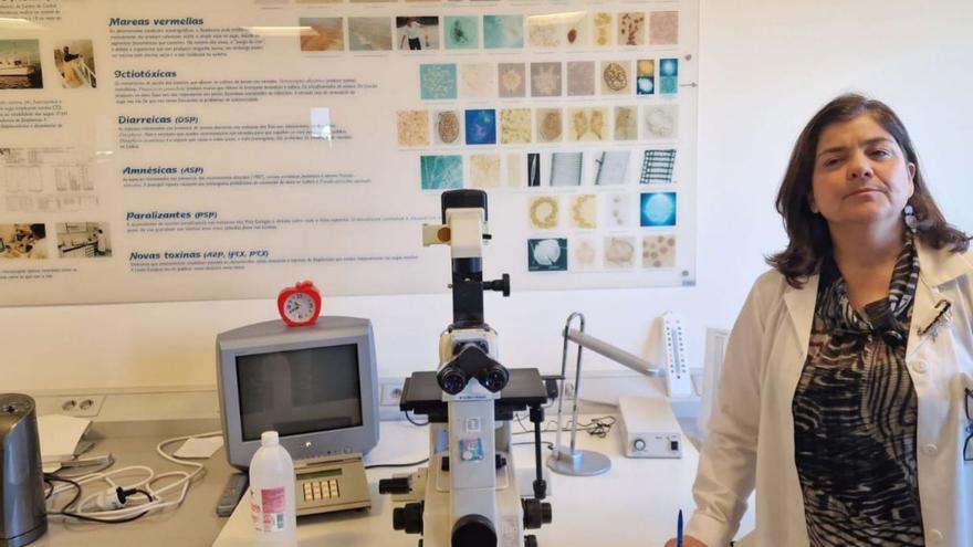 Galicia se queda sin mejillón, almeja y volandeira a las puertas de Navidad