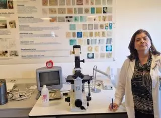 Galicia se queda sin mejillón, almeja y volandeira a las puertas de Navidad