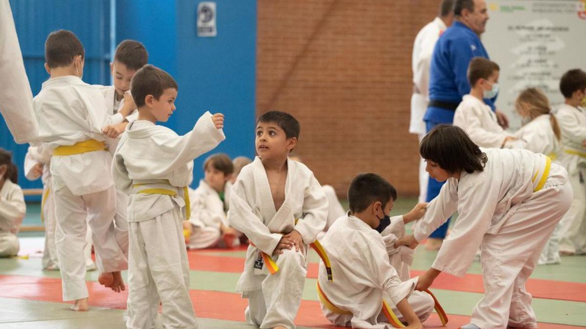 Brillante cierre de curso para el judo zamorano 