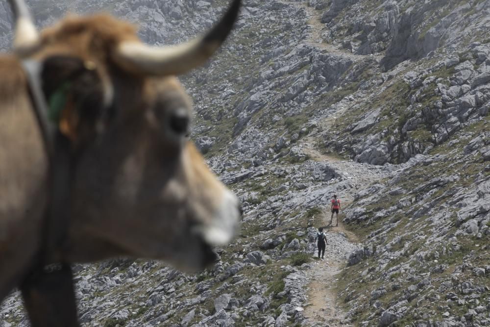 Las mejores rutas: el mirador de Ordiales