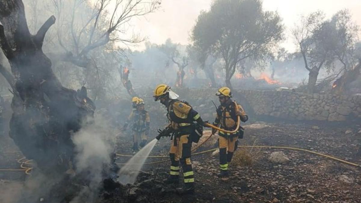 Bomberos forestales del Ibanat sofocan el incendio en es Putxet
