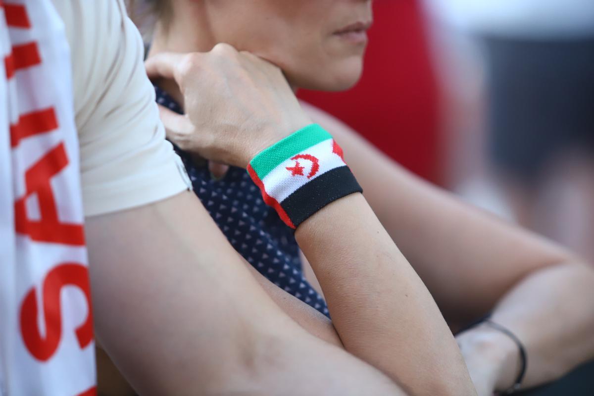 Las instituciones reciben a los niños saharauis