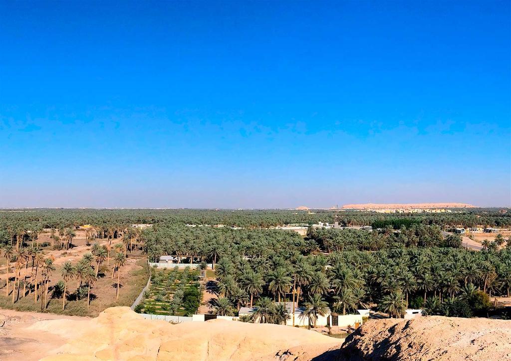 Oasis de Al -Ahsa, Arabia Saudita