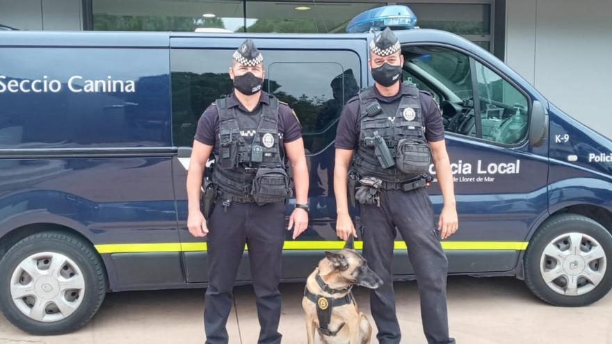 Dos agents de la Unitat Canina de la Policia Local de Lloret de Mar amb un dels gossos que la formen