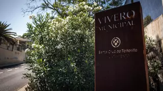 Los técnicos valoran aparcamientos en terrenos del vivero de La Salud