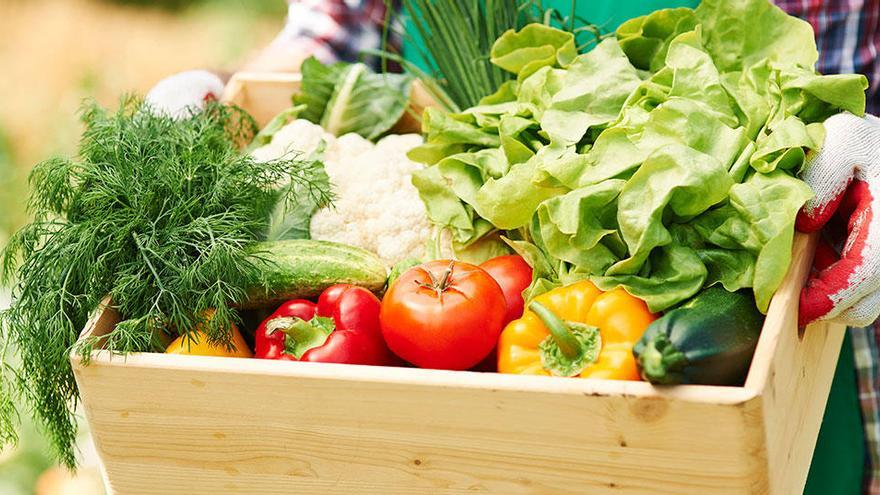 Obst und Gemüse - vom Produzenten direkt zu Ihnen nach Hause.