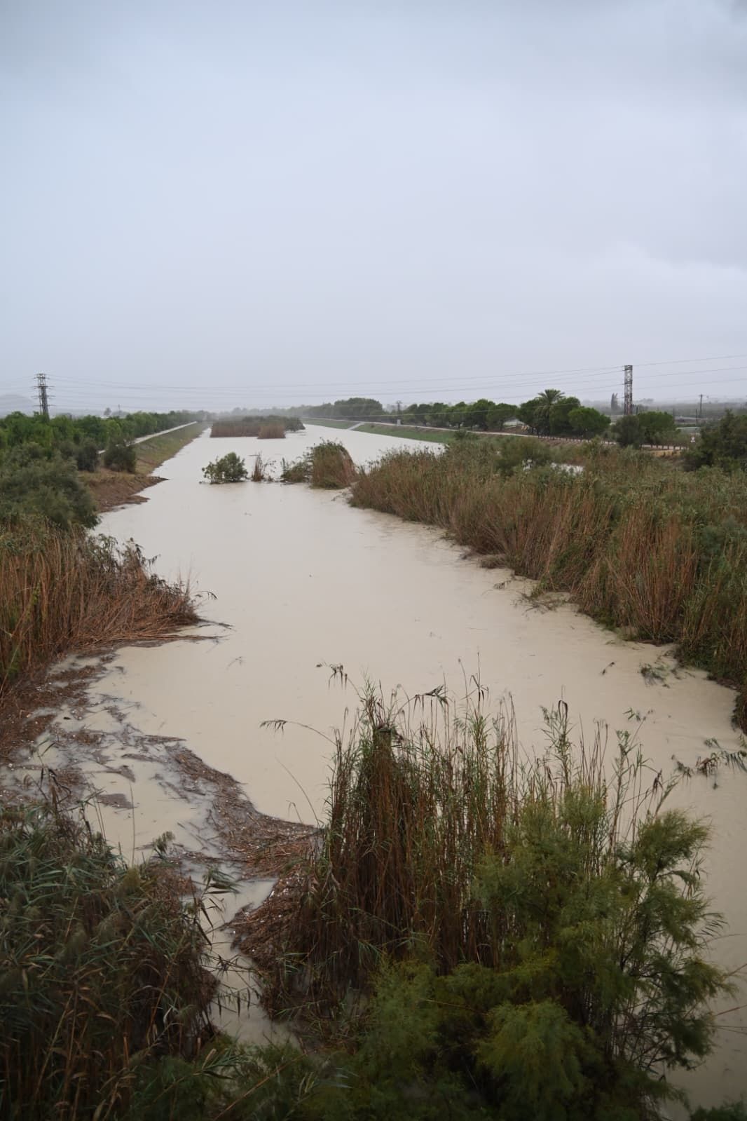 Así está el río Segura en Guardamar