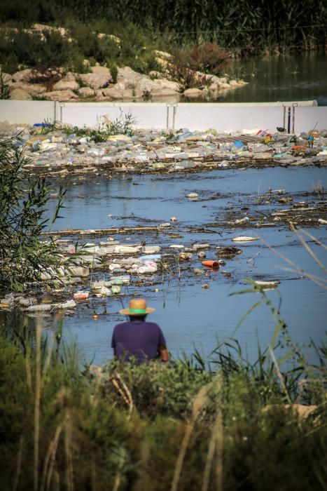 Aspecto que presenta ahora la desembocadura del Segura con miles de plásticos flotantes