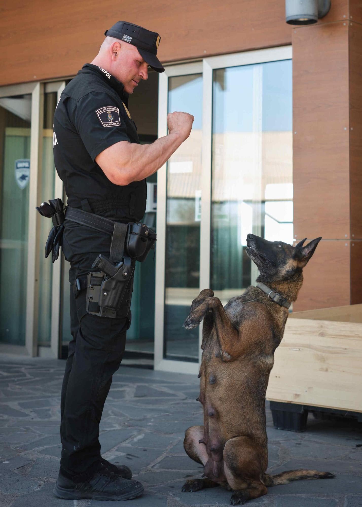 Estos son los nuevos cachorros de la Unidad Canina de la Policía Local de Santa Cruz