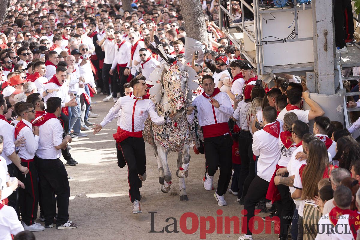 Así se ha vivido la carrera de Los Caballos del Vino en Caravaca