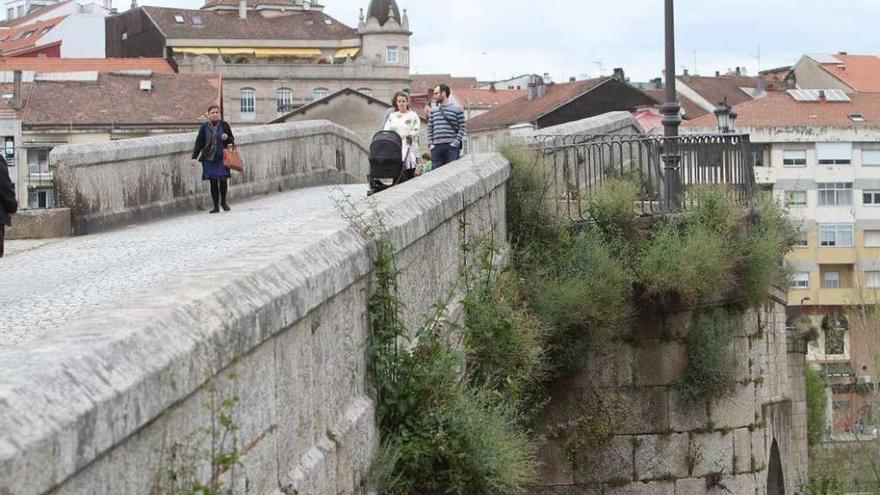 Estado que presenta la estructura del puente, cubierto por la maleza. // Iñaki Osorio