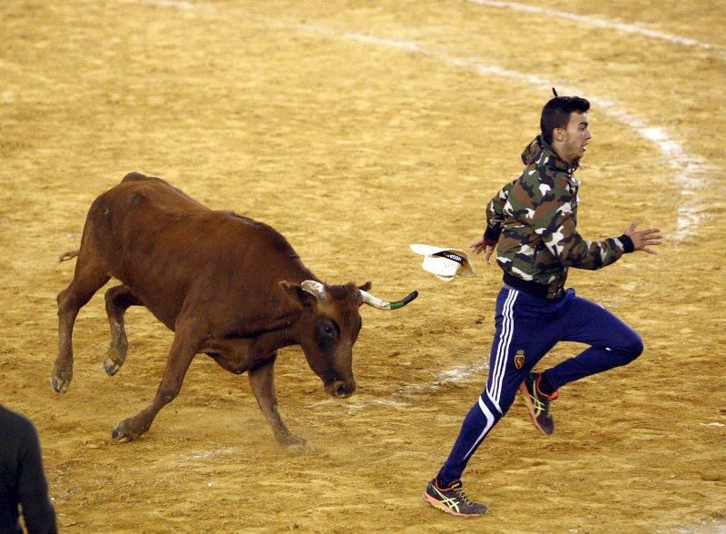 Primera mañana de vaquillas