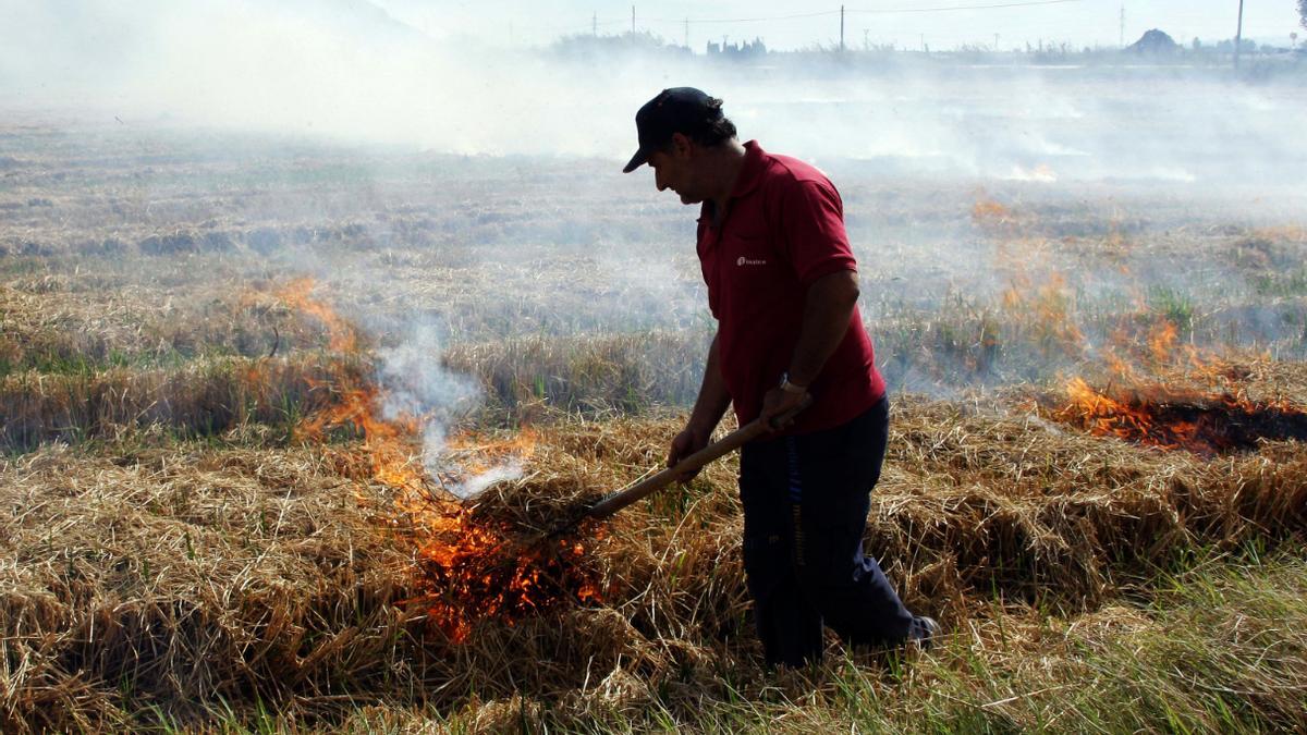 Sueca 2014. La quema de la paja del arroz ha generado numerosas discusiones y disgustos. Hoy todavía no se ha resuelto la controversia. En la imagen, un agricultor quema los rastrojos en el término municipal de Sueca.