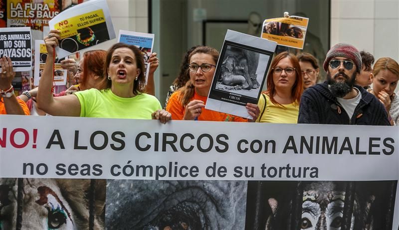 Protesta para prohibir el maltrato de animales