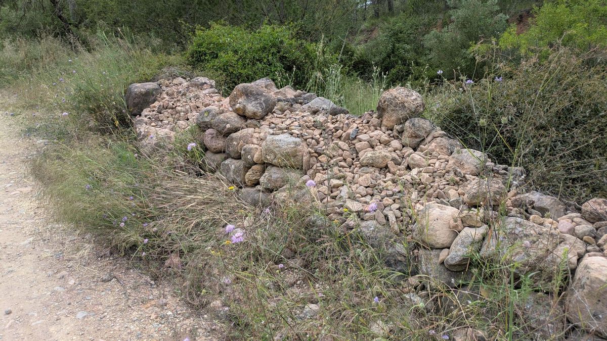 Uno de los ribazos de piedra en seco afectados por la sustracción de material en Artana.
