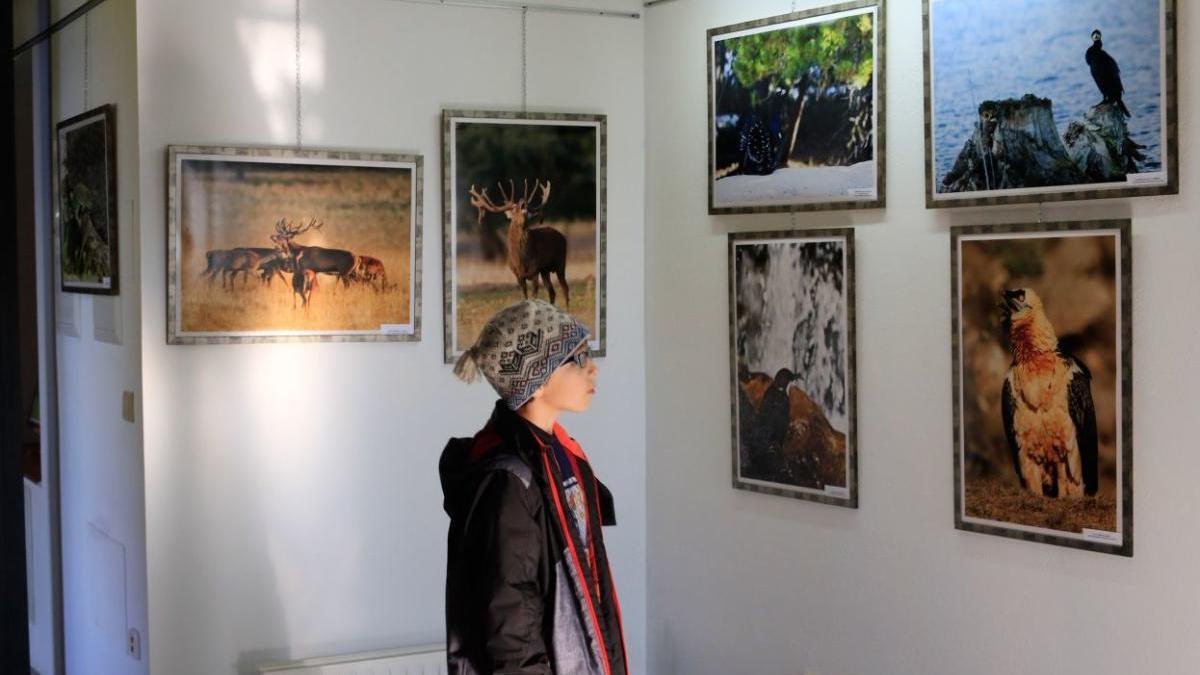 Un visitante contempla una exposición de fotos en la Casa del Parque de Fermoselle