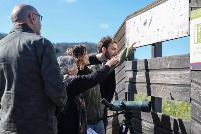 Las imágenes de la jornada en el observatorio de aves en ses Salines de Ibiza