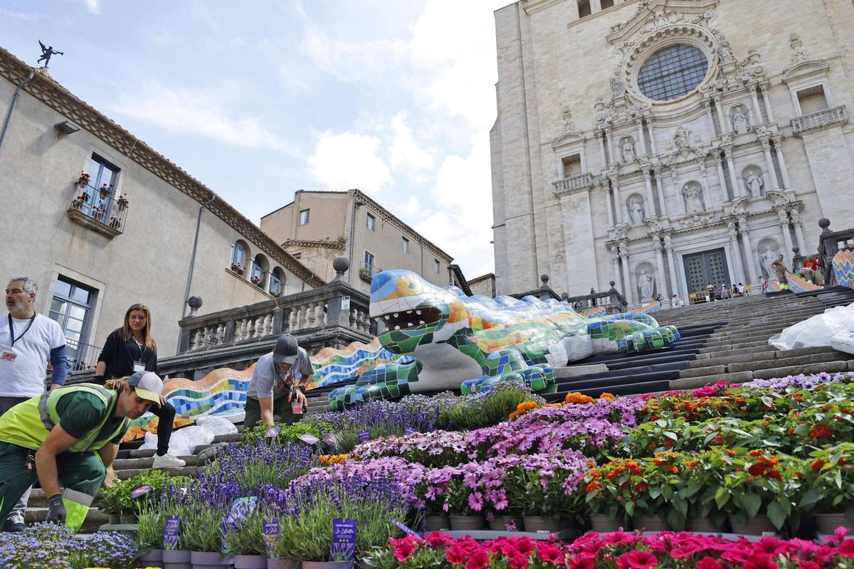 Les imatges dels preparatius de Temps de Flors