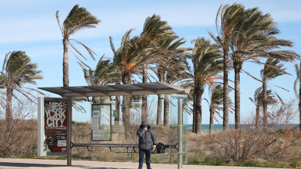 Un hombre se resguarda del viento en una parada de autobús de la playa del Planetario.