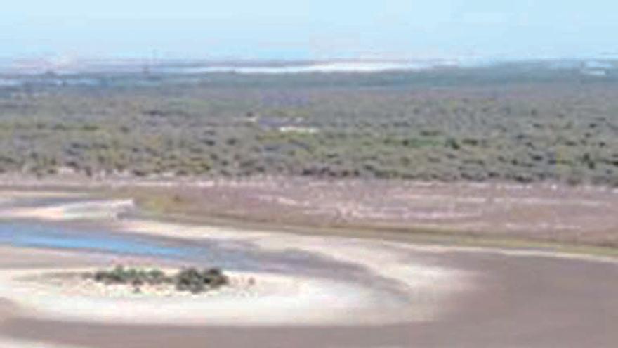 Doñana, fuera de la lista verde