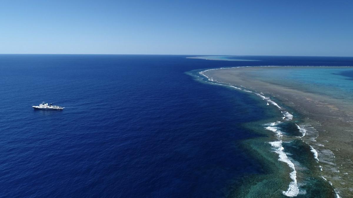 r v-falkor-operating-on-the-great-barrier-reef---credit-schmidt-ocean-institute