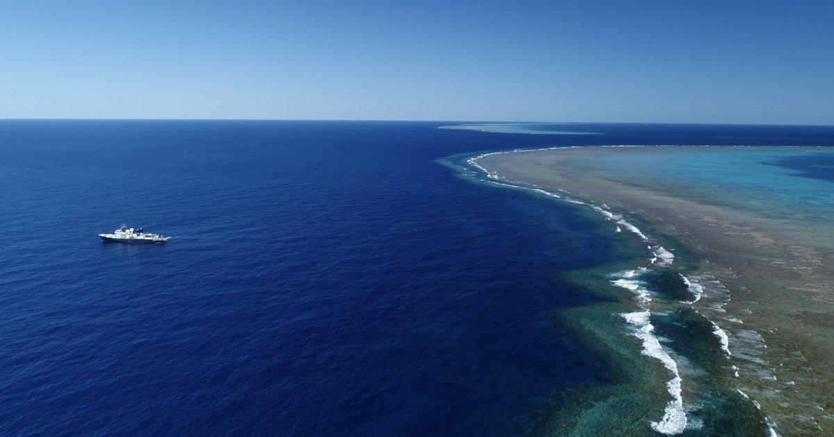 r v-falkor-operating-on-the-great-barrier-reef---credit-schmidt-ocean-institute