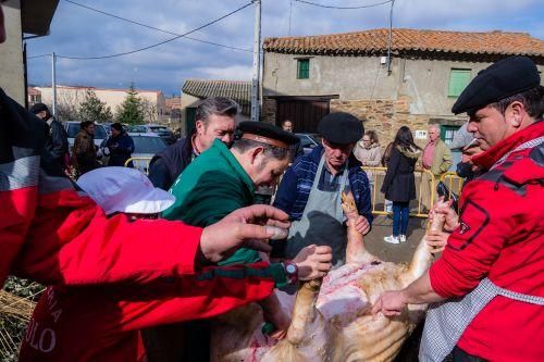 Matanza del cerdo en Tábara