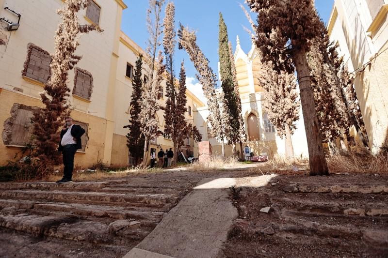 Limpieza del Parque Viera y Clavijo ante la visita de la directora del Museo Rodin de París