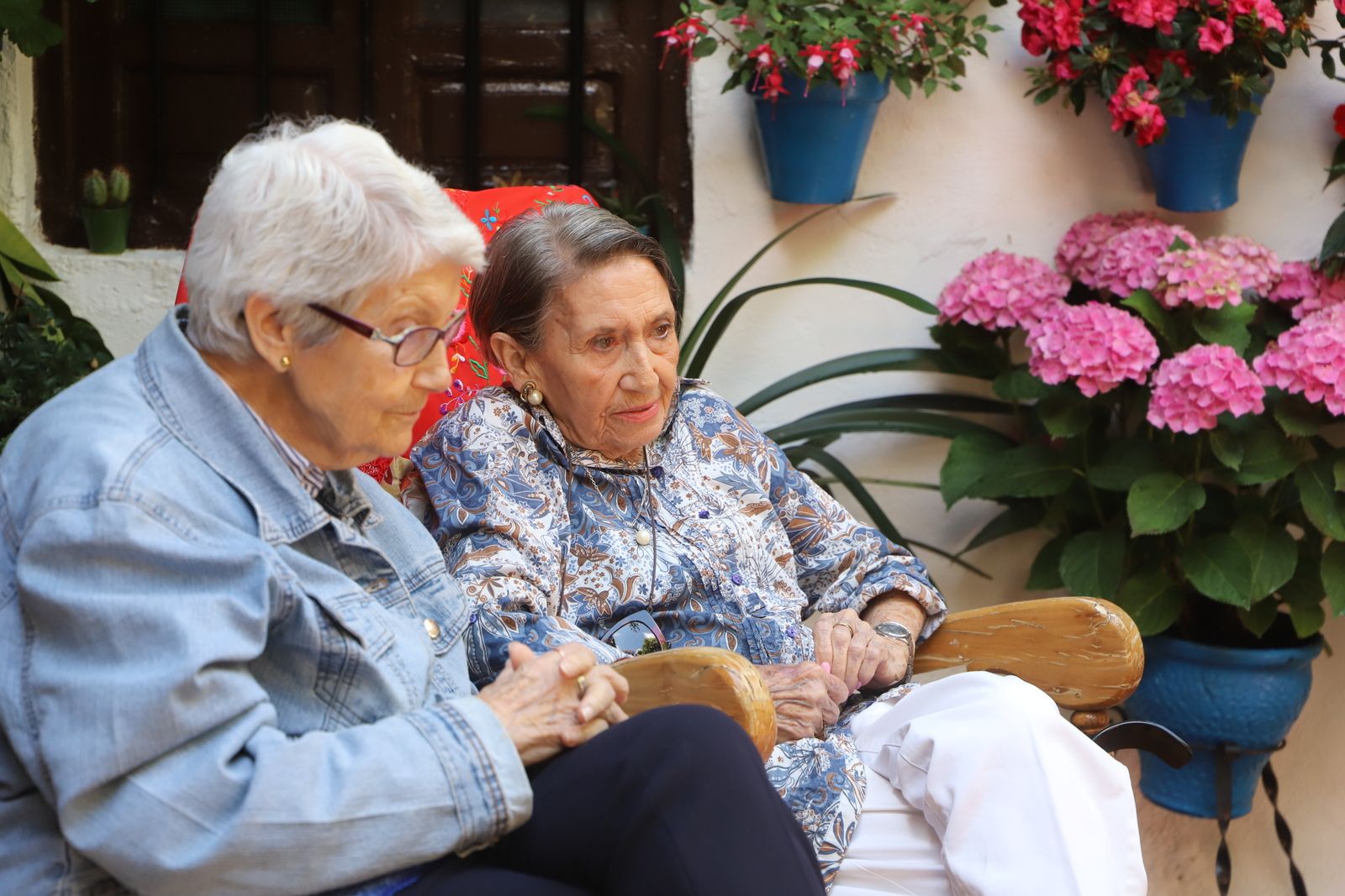 La Ruta 3 de los Patios de Córdoba, en imágenes