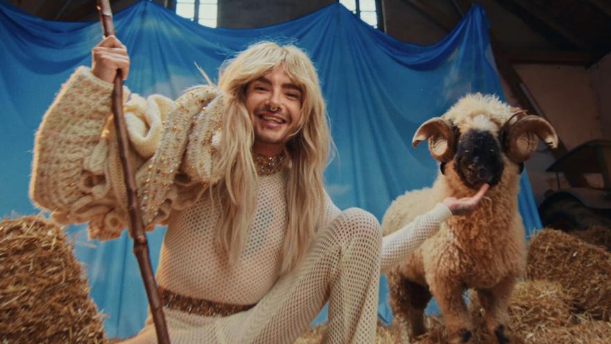Rainbow Wool, la primera colección de moda hecha con lana de ovejas gais