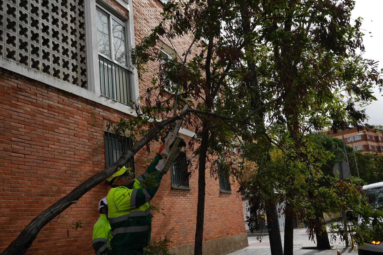 Los zamoranos hacen frente a la borrasca Ciarán