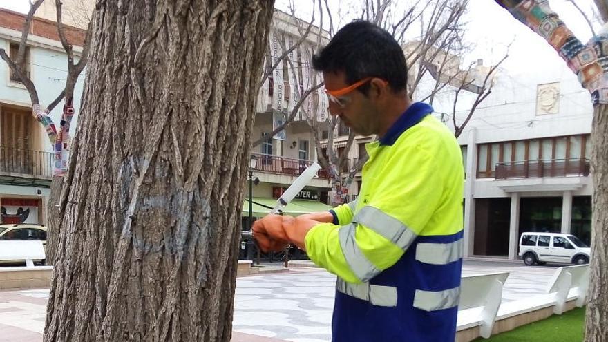 Aplicación del tratamiento en la plaça de Baix