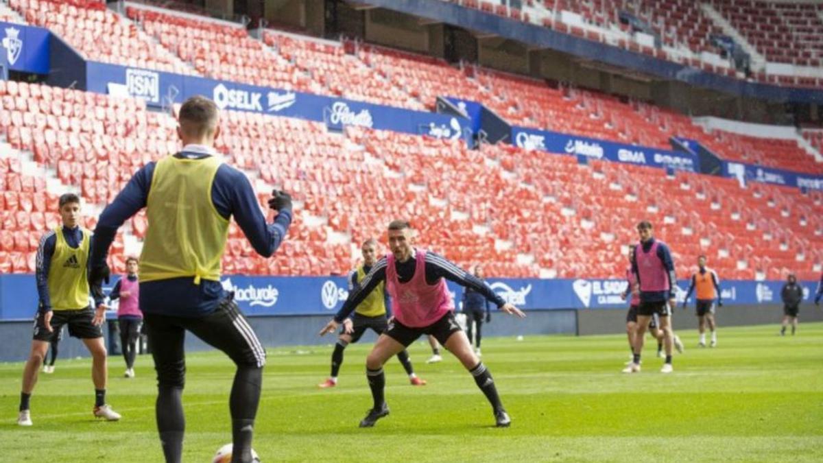 Jugadores de Osasuna, ayer, en el nuevo césped de El Sadar. | C.A.OSASUNA