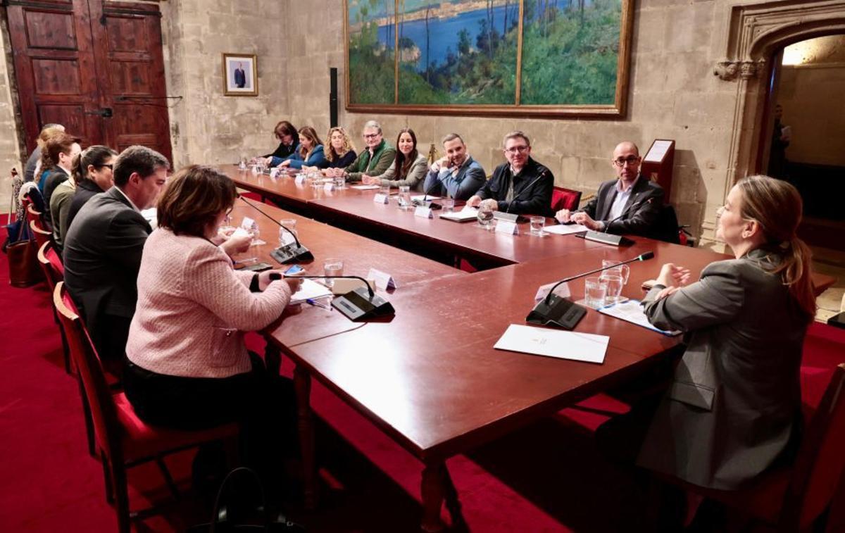La constitución de la Mesa de Lucha contra el Intrusismo en Balears. | CAIB
