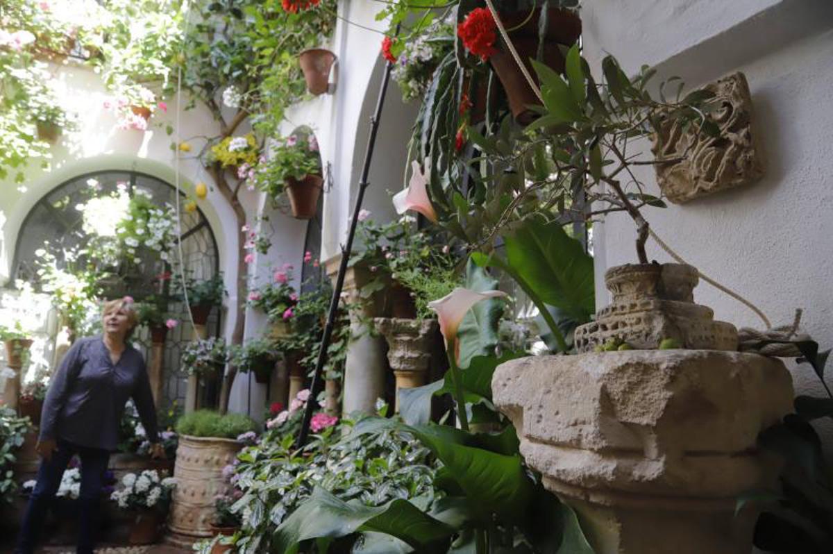 Principales premios del Concurso Municipal de Patios Cordobeses 2026