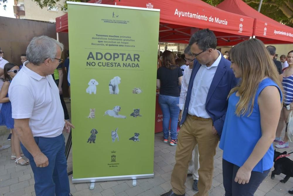 La perrera de Murcia saca sus animales a la calle