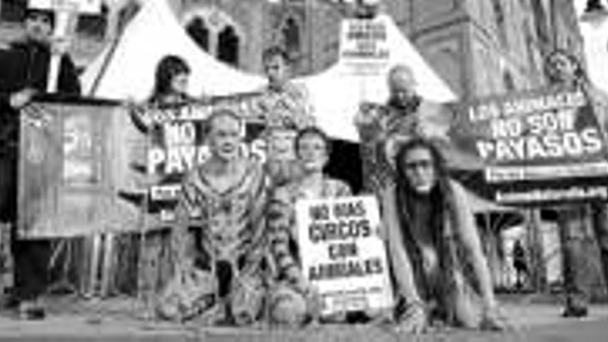 Protesta contra el uso de animales en el circo