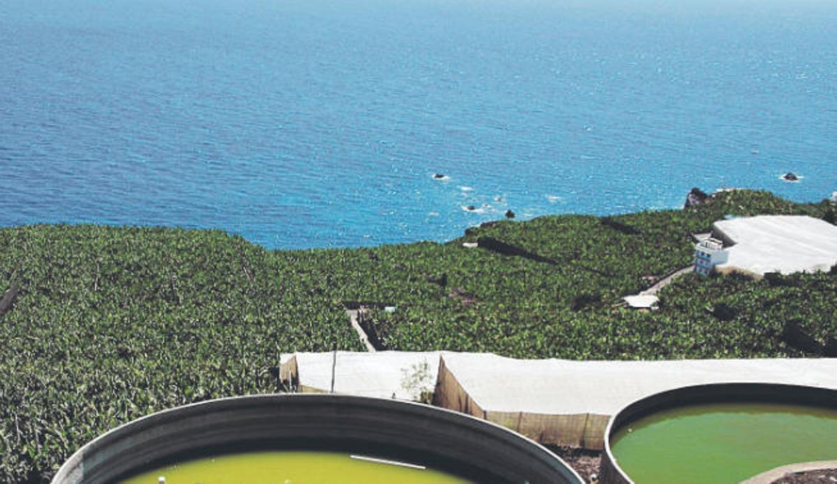 ASPA demanda que no se "relajen" las medidas para contrarrestar la sequía